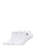Low-Cut Sock 3-Pack Ankelstrømper Korte Strømper White Polo Ralph Laur...