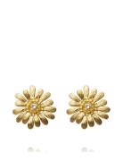 Daisy Earrings Gold Ørestickere Smykker Gold Caroline Svedbom