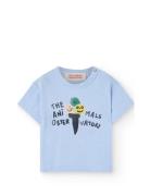 Pangolin Baby T-Shirt Soft Blue Tops T-Kortærmet Skjorte Blue THE ANIM...