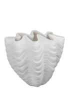 Shell Vase Home Decoration Vases Big Vases White Mette Ditmer