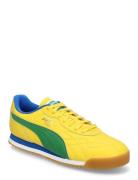 Roma Anniversario Sport Sport Shoes Sport Sneakers Sport Low Top Sneak...