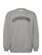 Logo Sweat Tops Sweatshirts & Hoodies Sweatshirts Grey Lindbergh