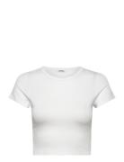 Cropped T-Shirt Tops Crop Tops Short-sleeved Crop Tops White Monki