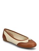 Jayna Wingtip Ballet Flat Ballerinasko Ballerinaer Brown Lauren Ralph ...