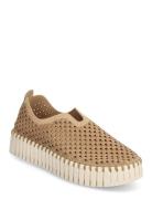 Tulip Slip-In On Plateau Sole Sneakers Brown Ilse Jacobsen