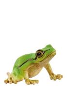 Schleich European Tree Frog Toys Playsets & Action Figures Animals Mul...