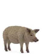Schleich Mangalica Toys Playsets & Action Figures Animals Multi/patter...