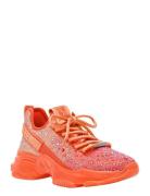 Mistica Sneaker Low-top Sneakers  Steve Madden
