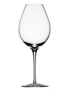Difference Primeur 62Cl  Home Tableware Glass Wine Glass Red Wine Glas...