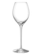 More Champagne Boule Glas 31Cl 2-Pack Home Tableware Glass Wine Glass ...