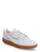 Palermo Vintage Sport Sport Shoes Sport Sneakers Sport Low Top Sneaker...