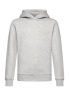 Tonal As Hoodie Tops Sweatshirts & Hoodies Hoodies Grey GANT