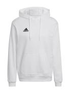 Ent22 Hoody Tops Sweatshirts & Hoodies Hoodies White Adidas Performanc...