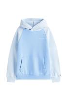 Mini Corp Logo Hoodie Tops Sweatshirts & Hoodies Hoodies Blue Tommy Hi...
