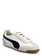 Arizona Retro Sport Women Sport Shoes Sport Sneakers Sport Low Top Sne...
