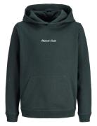 Jornorrebro Emb Sweat Hood Noos Jnr Tops Sweatshirts & Hoodies Hoodies...