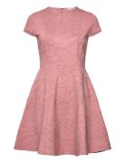 Clodaa Kort Kjole Pink Ted Baker London