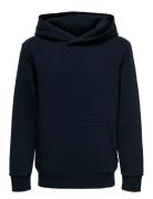 Osjceres Hoodie Swt Noos Tops Sweatshirts & Hoodies Hoodies Black ONLY...