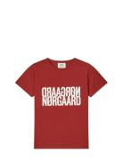 Single Cotton Trenda P Tee Tops T-shirts & Tops Short-sleeved Red Mads...