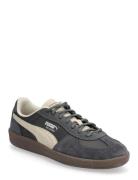 Palermo Pop Sport Women Sport Shoes Sport Sneakers Sport Low Top Sneak...