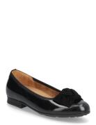 Ballerina Ballerinasko Ballerinaer Black Gabor