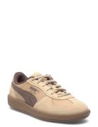 Palermo Pop Sport Women Sport Shoes Sport Sneakers Sport Low Top Sneak...