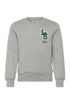 Fw-Crew Tops Sweatshirts & Hoodies Sweatshirts Grey Levi's