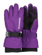 Biggles Gloves 3 Accessories Gloves & Mittens Gloves Purple Didriksons