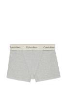 Boxer Brief Hipsters Undertøj Grey Calvin Klein