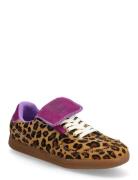 Ethora-L Low-top Sneakers Beige Steve Madden