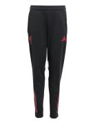 Lfc Tr Pnt Y Sport Sweatpants Black Adidas Performance
