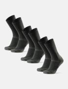 Hiking Classic Socks 3-Pack Sport Socks Regular Socks Khaki Green Dani...