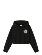 Nkfkory Ls Crop Boxy Swe Wh Bru Ps Noos Tops Sweatshirts & Hoodies Hoo...