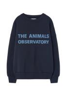 Navy Leo Sweatshirt Tops Sweatshirts & Hoodies Sweatshirts Navy THE AN...