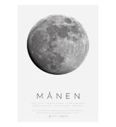 Citatplakat Plakat - B2 - MÃ¥nen