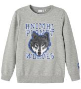 Name It Sweatshirt - NkmJim AnimalPlanet - Grey Melange
