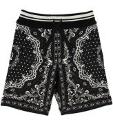 Dolce & Gabbana Sweatshorts - DNA - Sort/Hvid