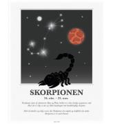Kids by Friis Plakat - Stjernetegn - Skorpionen