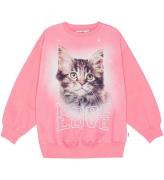 Molo Sweatshirt - Monti - More Love Cat