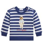 Polo Ralph Lauren Sweatshirt - Navy/Hvid m. Bamse