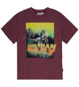 Molo T-shirt - Riley - More Than...