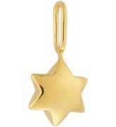 Design Letters VedhÃ¦ng - Darling - Stjerne - 18k Guldbelagt