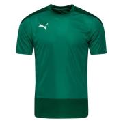 PUMA Trænings T-Shirt teamGOAL 23 - Grøn/Grøn