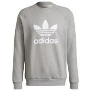 adidas Originals Sweatshirt Crewneck Adicolor Classics Trefoil - Grå/H...