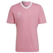 adidas Trænings T-Shirt Entrada 22 - Pink