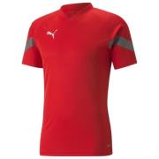 PUMA Trænings T-Shirt teamFINAL - Rød/Grå