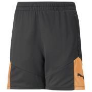 PUMA Træningsshorts IndividualFINAL - Sort/Orange Børn