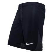 Nike Shorts Dri-FIT Academy Pro - Sort/Grå/Hvid