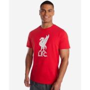 Liverpool T-Shirt Liverbird - Rød