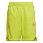 adidas Træningsshorts X - Gul/Rød Børn